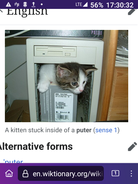 A white kitten is climbing out of an 2000s-era desktop computer tower and looking around.A kitten stuck inside of a puter (sense 1)